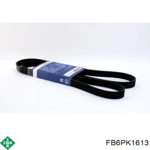 Купити FB6PK1613 INA Ремінь генератора