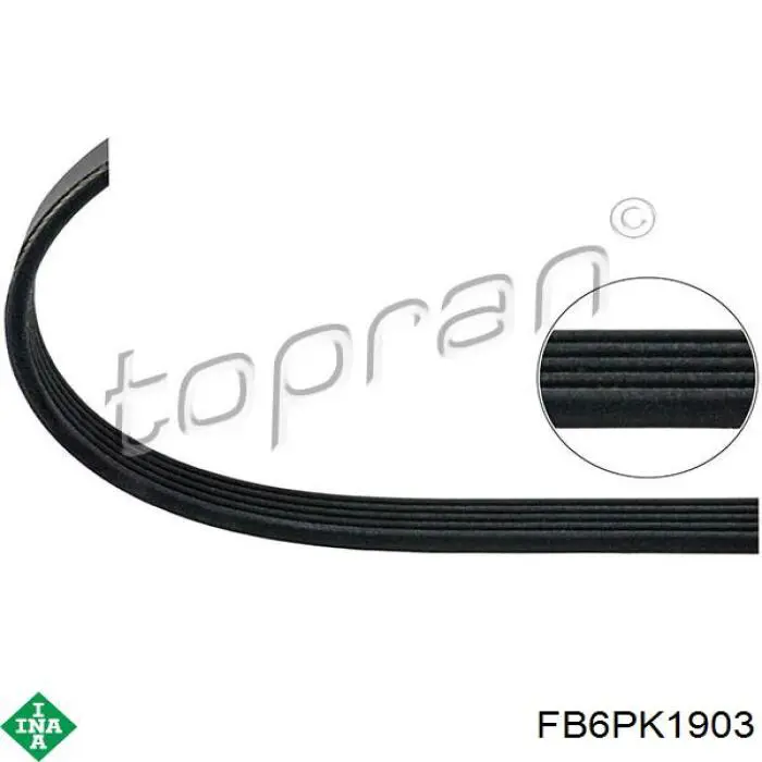 Клиновий ремінь INA FB6PK1903 ціна, від 15.18 USD