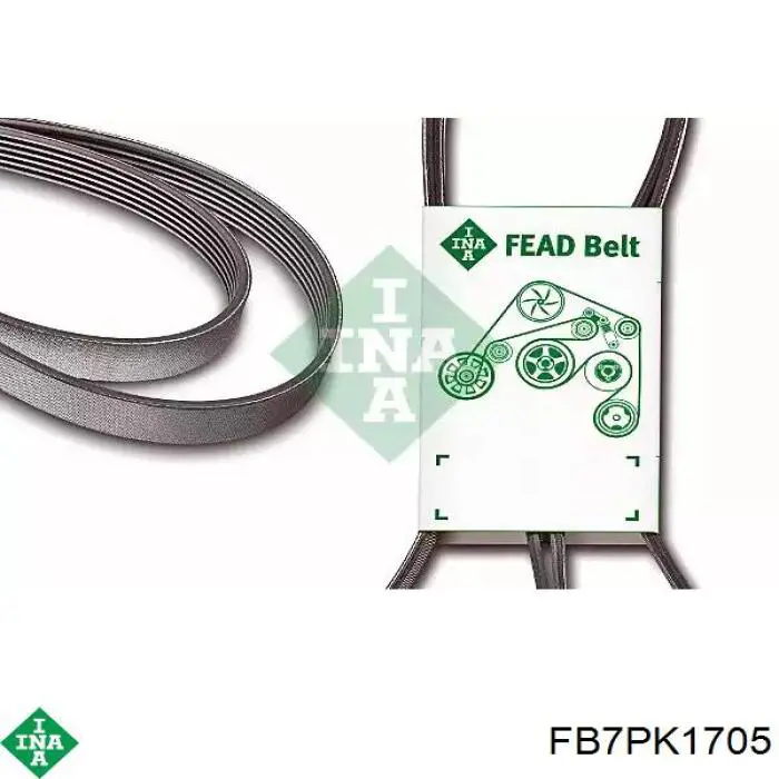 Клиновий ремінь INA FB7PK1705 ціна, від 17.49 USD