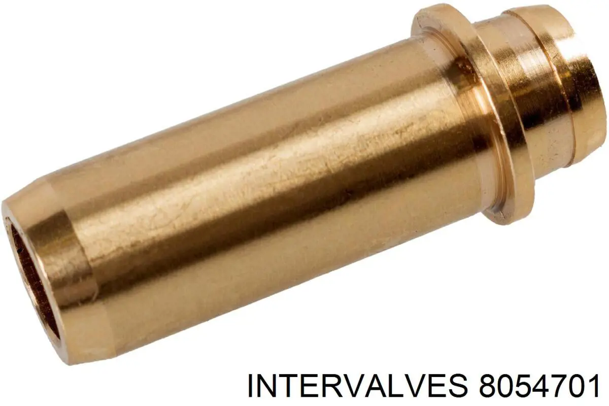 Направляюча клапана 8054701 Intervalves