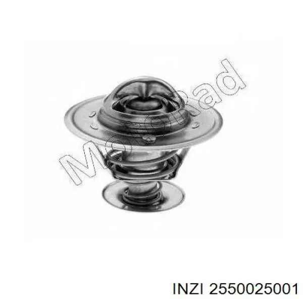 2550025001 Inzi Авто термостат