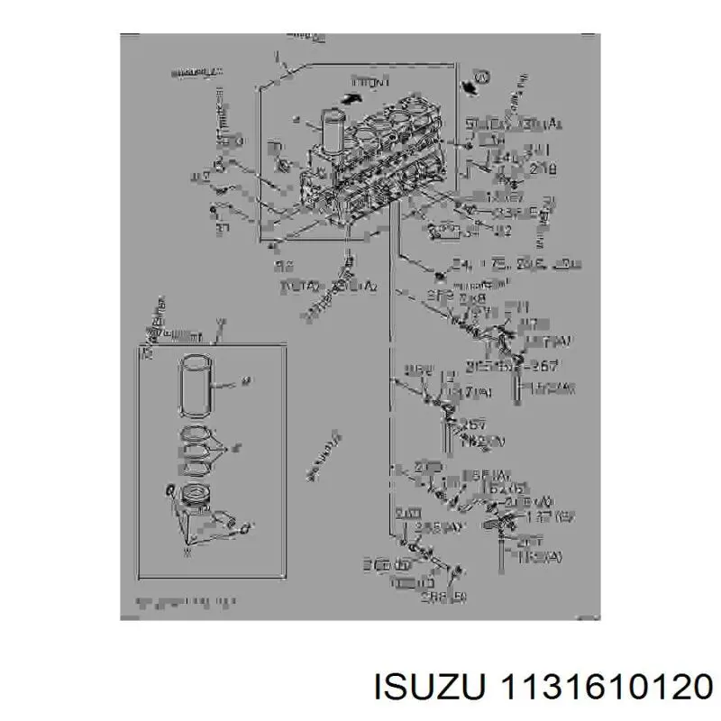  1131610080 Isuzu