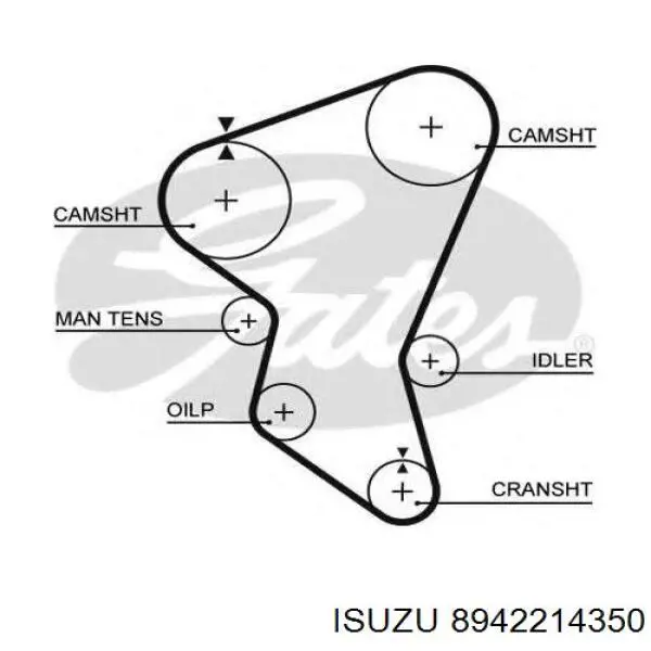 Ремінь ГРМ 8942214350 Isuzu