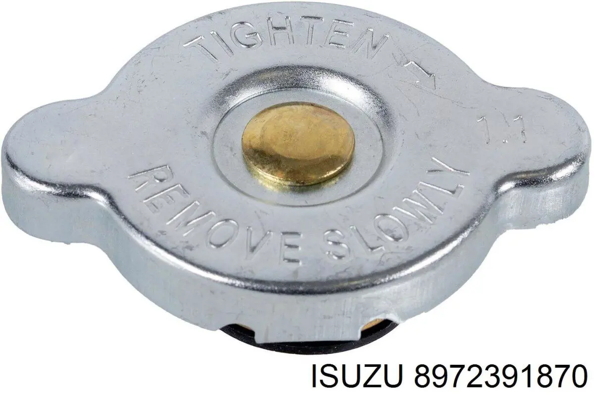 Купити 8972391870 Isuzu 