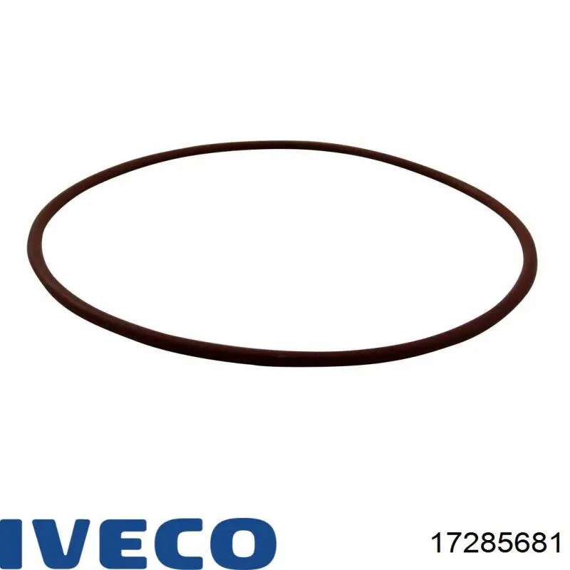 Прокладка водяної помпи 17285681 Iveco