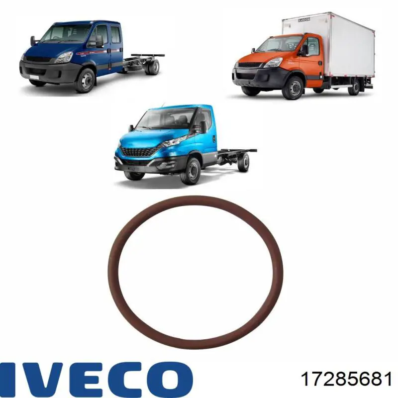 17285681 Iveco Прокладка водяної помпи