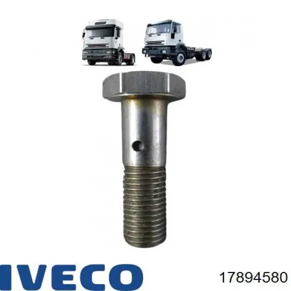 17894580 Iveco 