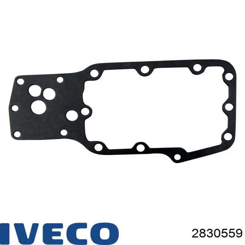 Прокладка радіатора масляного Iveco 2830559 ціна, від 8.97 USD