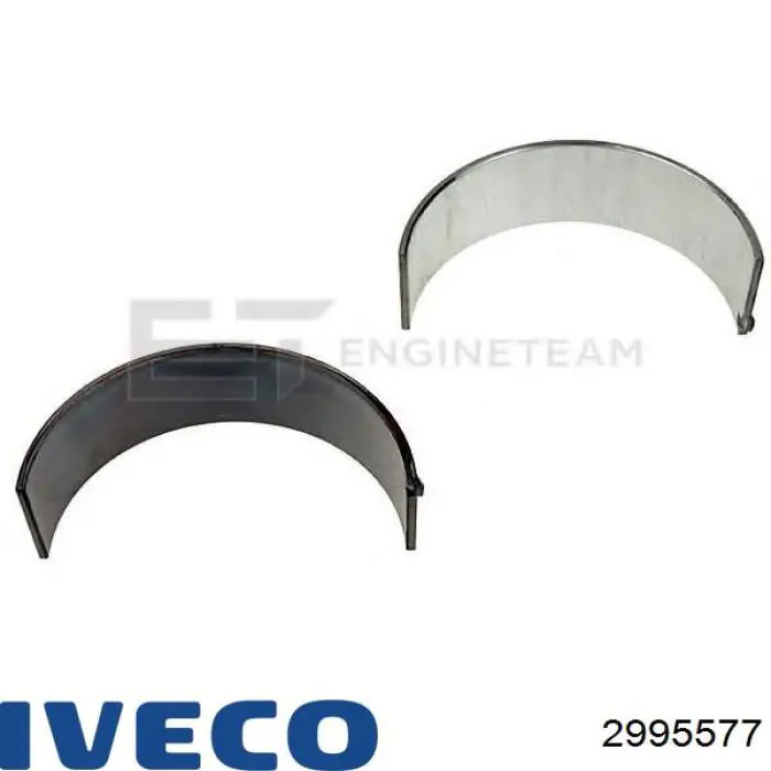 2995577 Iveco Підшипник шатуна