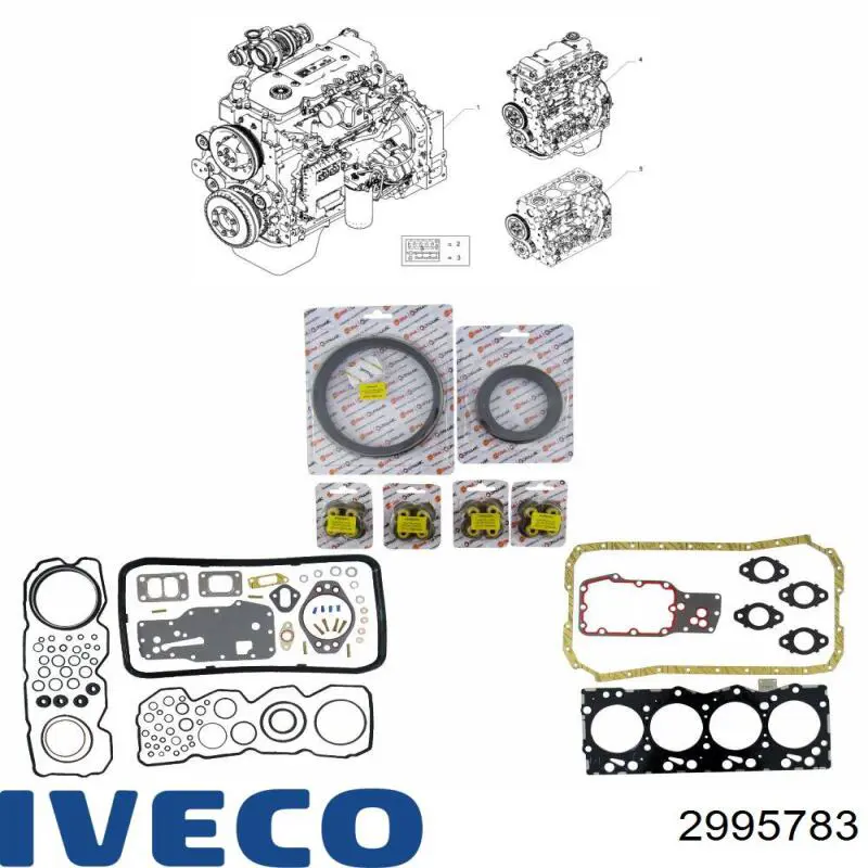 Набір прокладок двигуна на Iveco Eurocargo II 