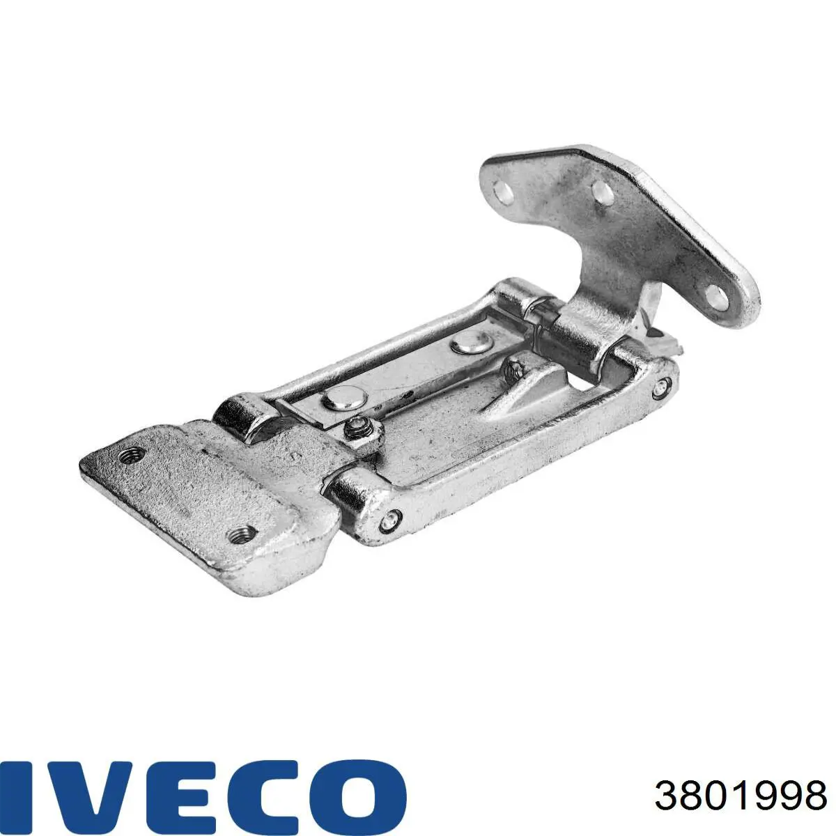 3801998 Iveco Петля дверей задньої (розпашної)