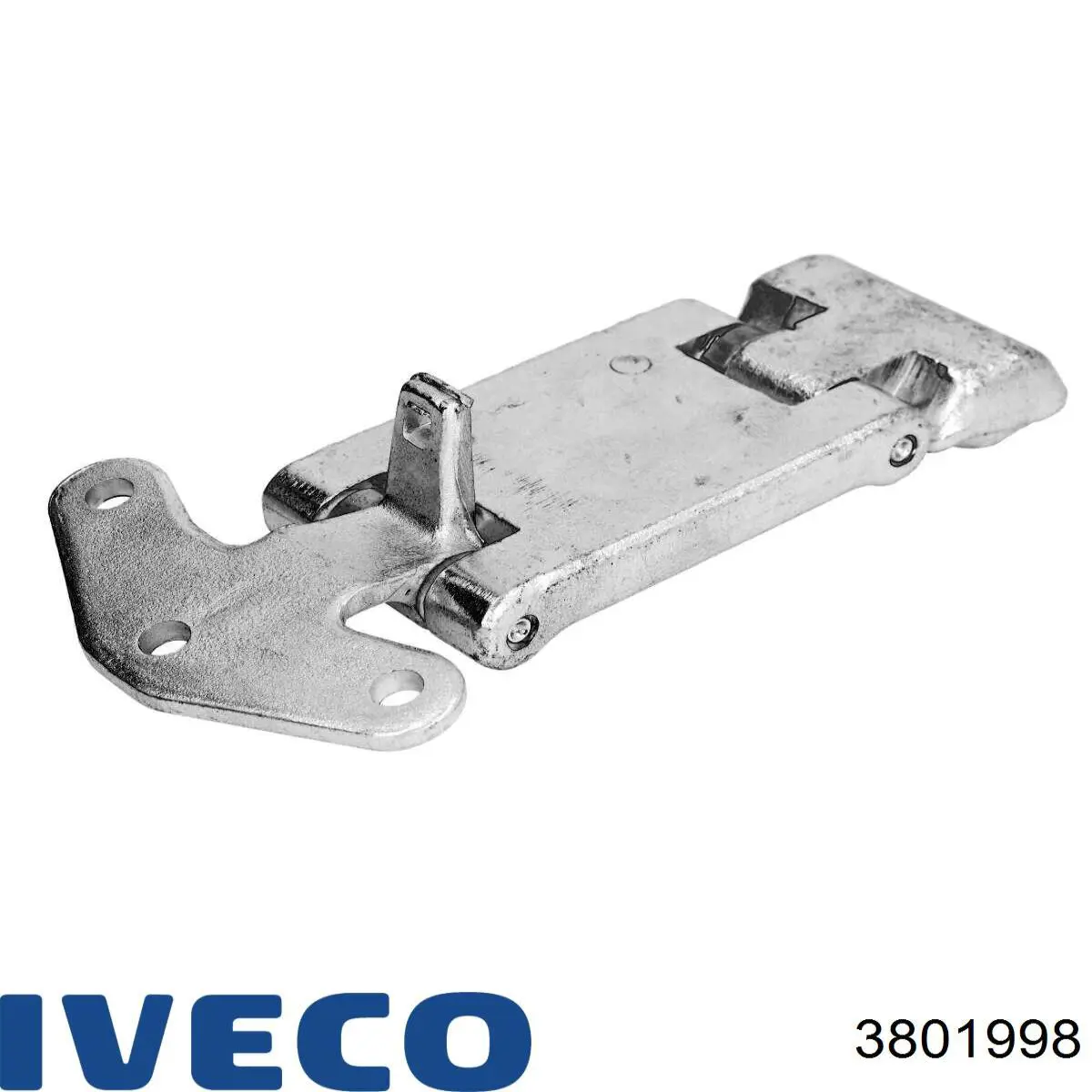 Петля дверей задньої (розпашної) 3801998 Iveco