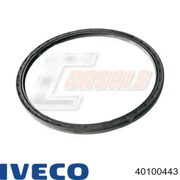 Сальник задньої маточини Iveco 40100443 ціна, від 15.86 USD