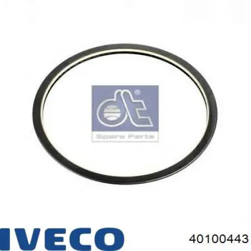 Сальник задньої маточини 40100443 Iveco