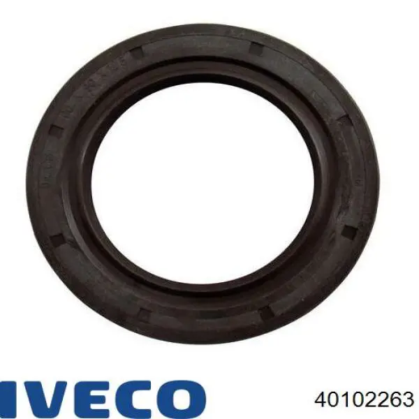 Сальник хвостовика редуктора заднього моста Iveco 7185870 ціна, від 25.90 USD