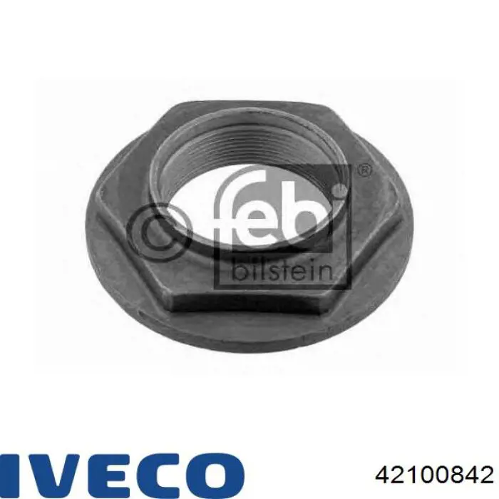 42100842 Iveco 