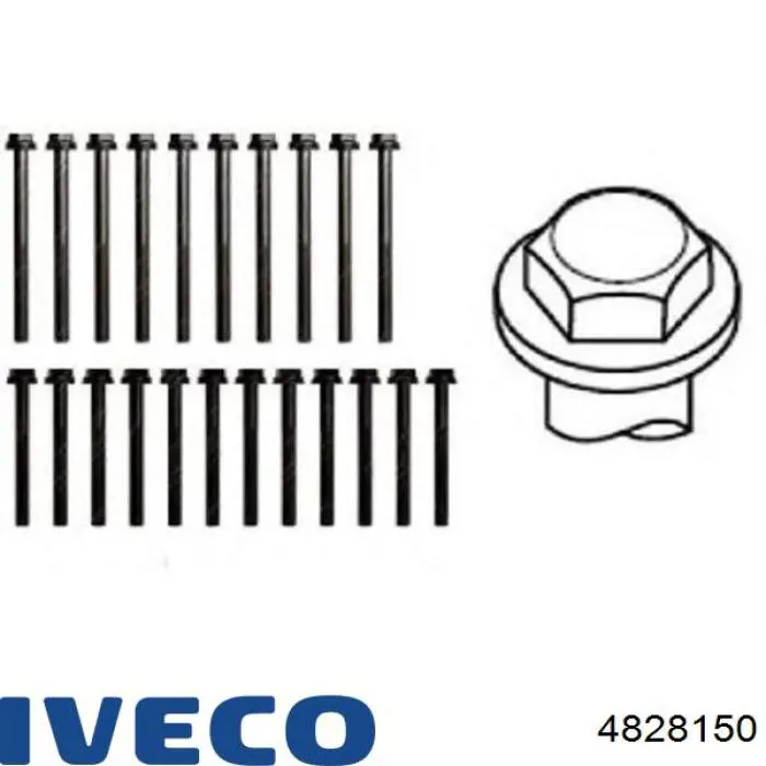 4828150 Iveco Болт кріплення головки блоку циліндрів