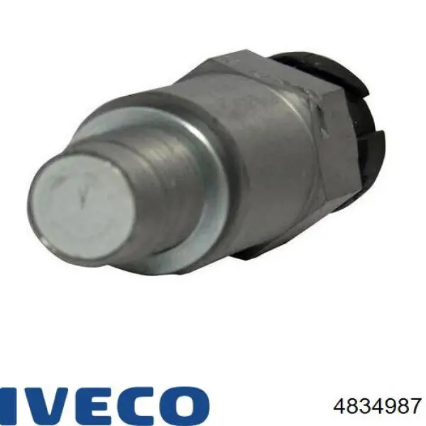  4834987 Iveco