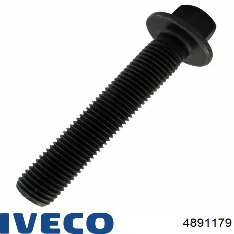 4891179 Iveco 
