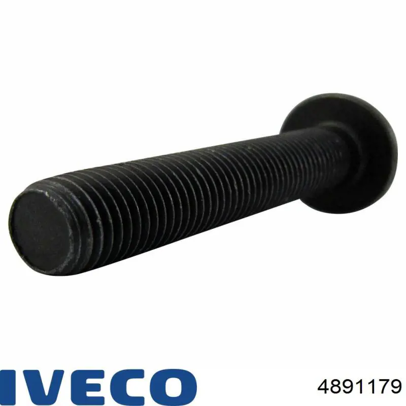 Купити 4891179 Iveco 