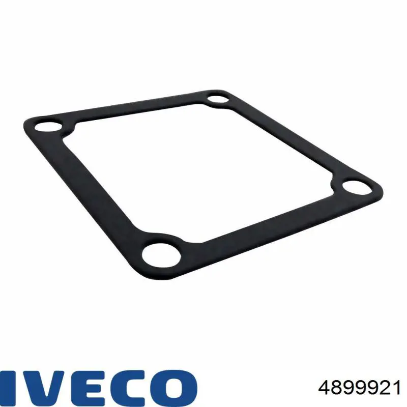 Купити 4899921 Iveco Герметик силіконовий