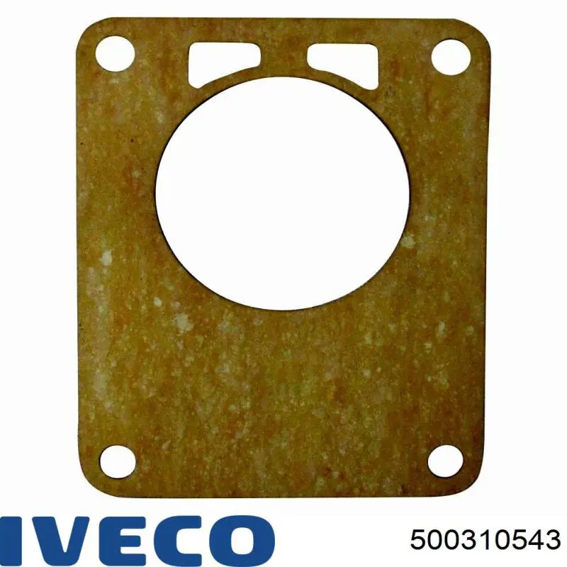 Прокладка вакуумного насосу 500310543 Iveco