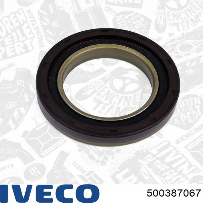 Прокладка ГБЦ Iveco 500387067 ціна, від 39.48 USD