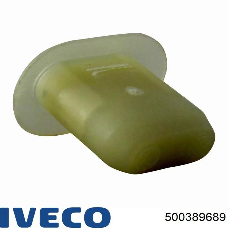  500389689 Iveco
