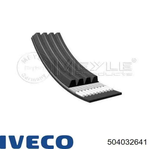 Купити 504032641 Iveco Ремінь генератора