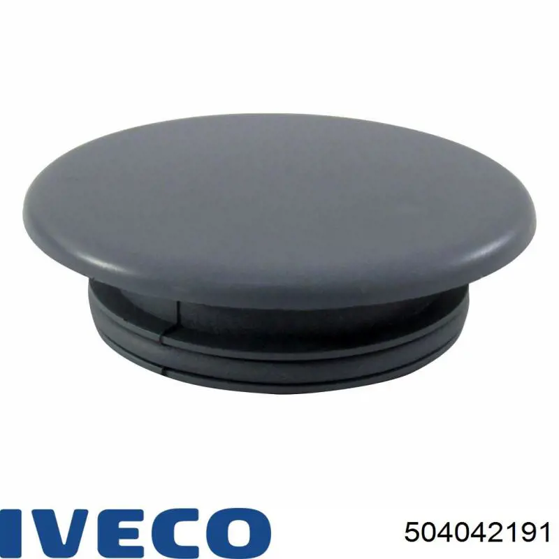  504042191 Iveco