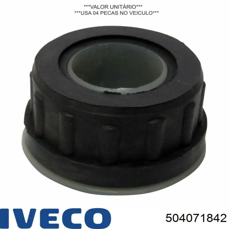 504071842 Iveco 