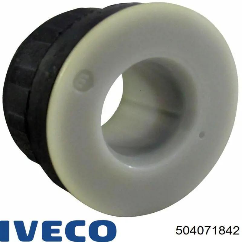  504071842 Iveco
