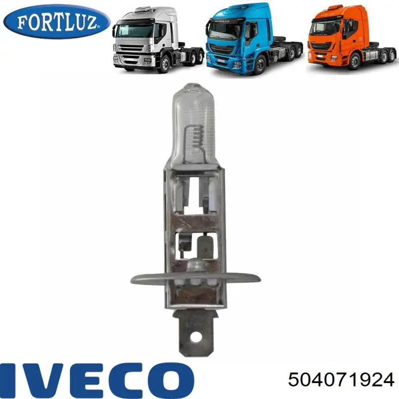 504071924 Iveco Лампочка галогенна
