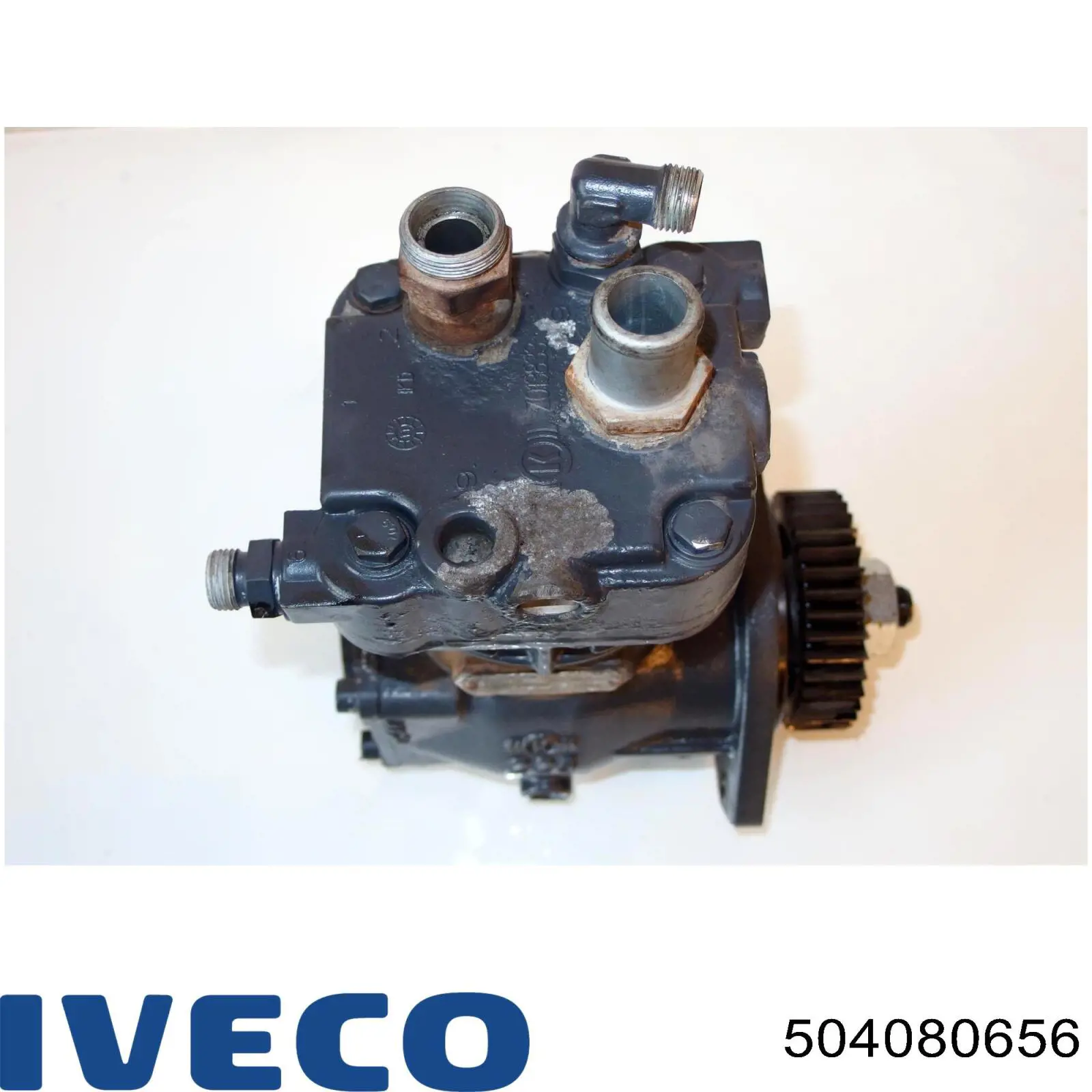  504080656 Iveco