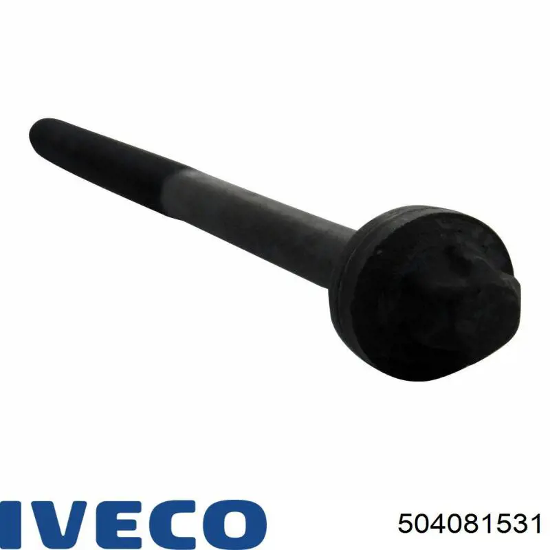 Купити 504081531 Fiat/Alfa/Lancia Болт гбц