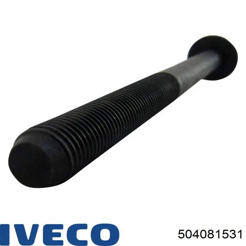 Купити 0204C6 Peugeot/Citroen Болт гбц