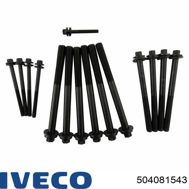 Болт головки блока циліндрів Fiat/Alfa/Lancia 504081543