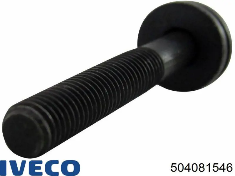 Болт головки блока циліндрів, ГБЦ Iveco 504081546 ціна, від 1.24 USD
