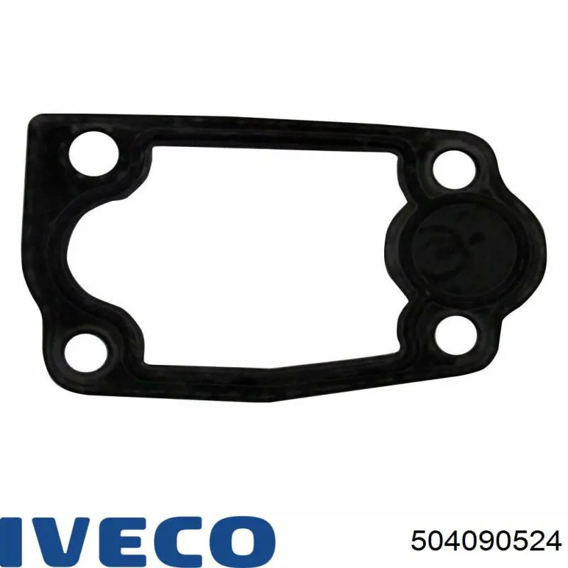 504090524 Iveco 