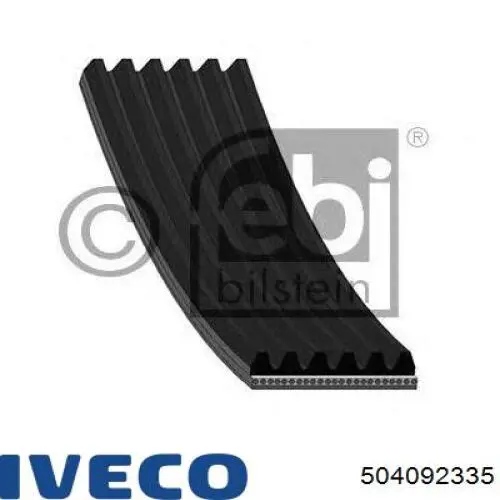 Купити 504092335 Iveco Ремінь генератора