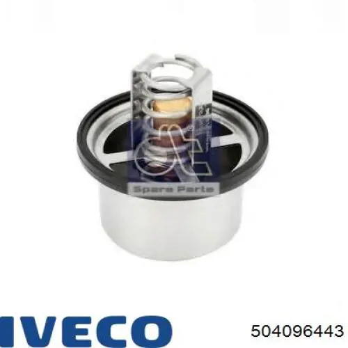  504096443 Iveco