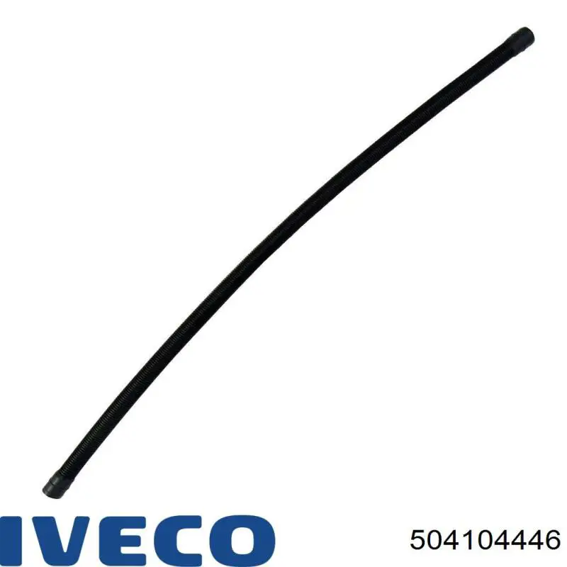 504104446 Iveco 