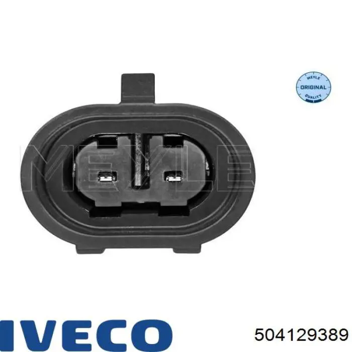  504129389 Iveco