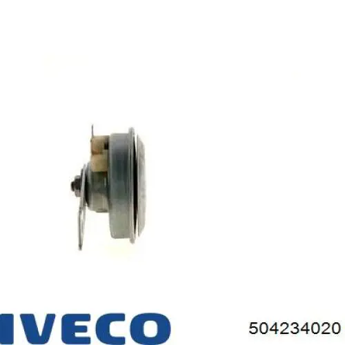 Купити 504234020 Iveco 
