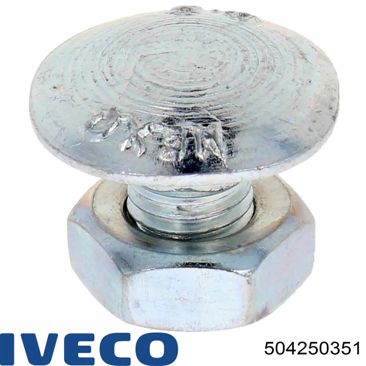 504250351 Iveco 