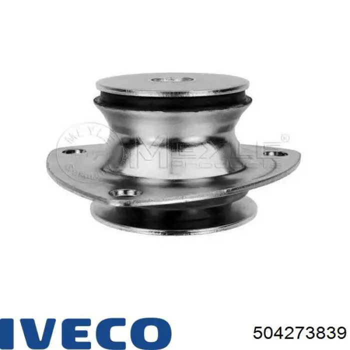  504273839 Iveco