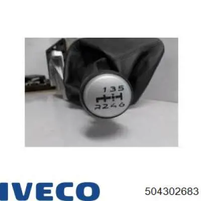  504302683 Iveco