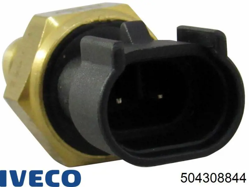 504308844 Iveco 