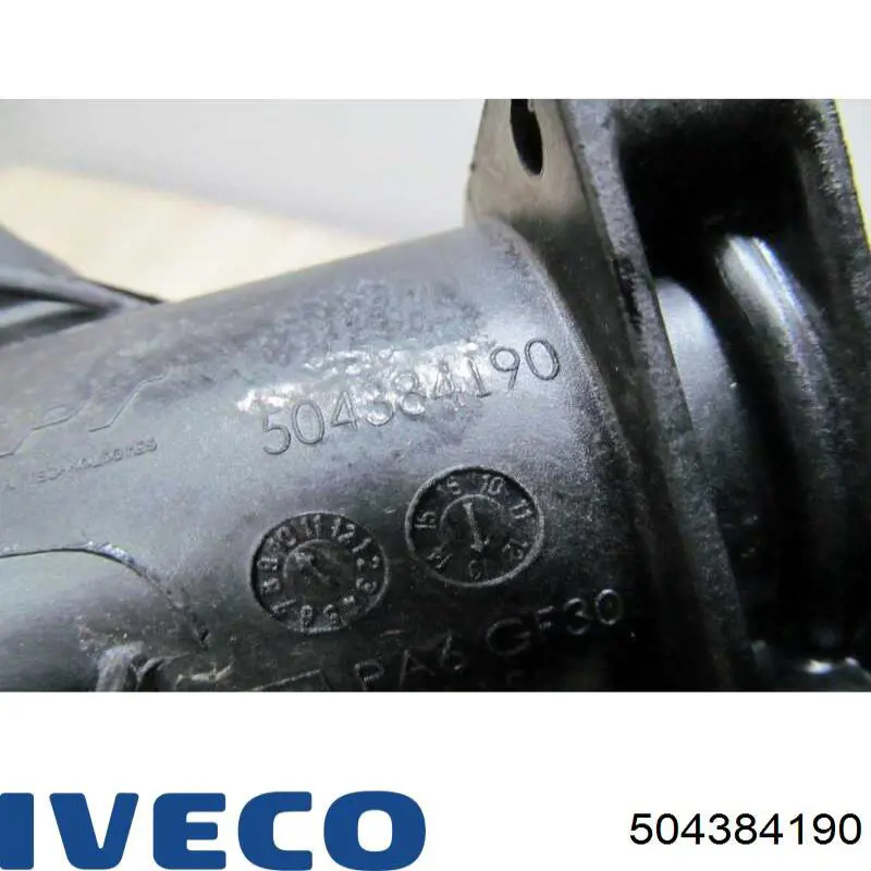 504384190 Iveco 
