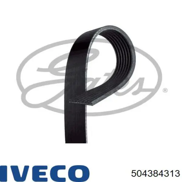 Купити 504384313 Iveco Ремінь генератора